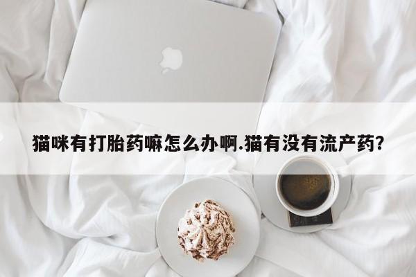 怀孕大月份能不能用米非司酮猫咪有打胎药嘛怎么办啊.猫有没有流产药？