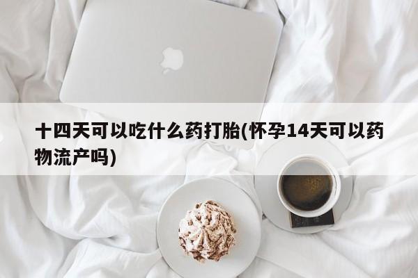 怀孕大月份能不能用米非司酮十四天可以吃什么药打胎(怀孕14天可以药物流产吗)